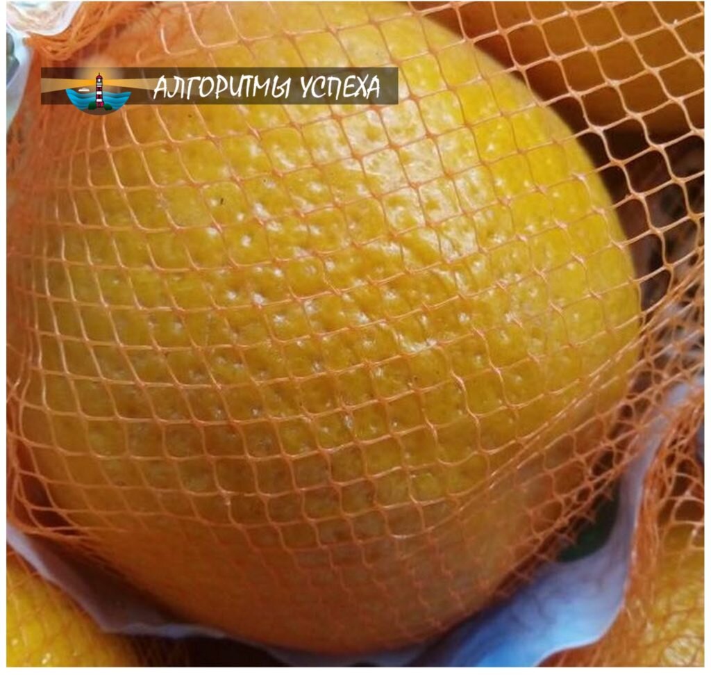 Понимание — это не апельсин, а психолог?..