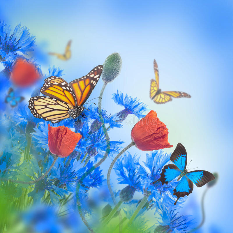 Фото из открытых источников в свободном доступе.