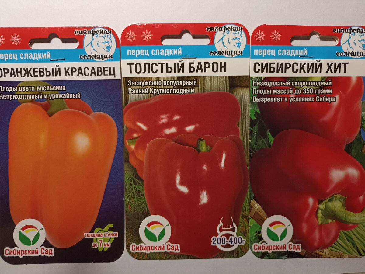 Перец толстый барон описание сорта фото отзывы