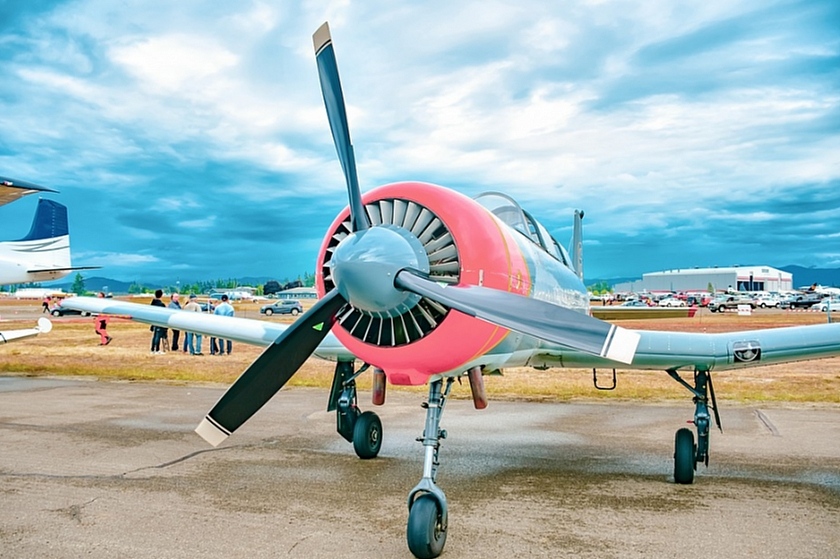 Фото: pixabay.com