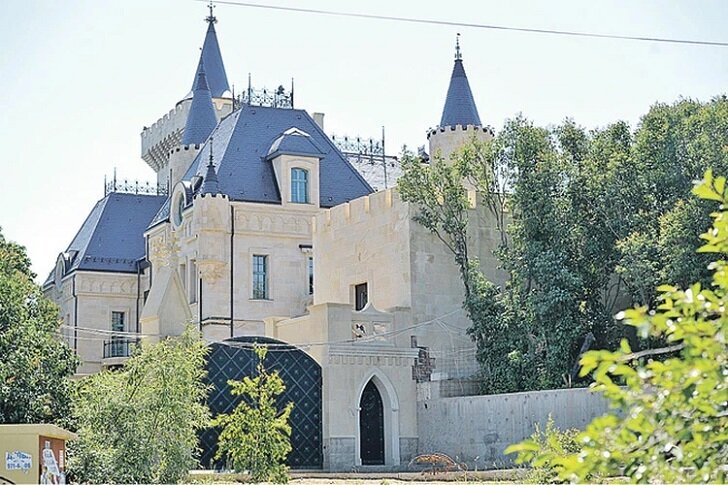 Подмосковный замок шоумена в деревне Грязь. Фото: соцсети