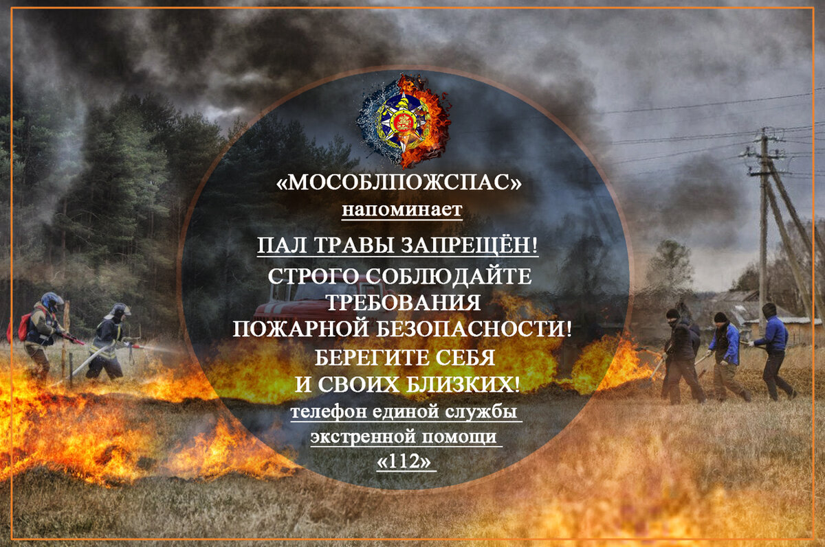 Весенние палы презентация для начальной школы