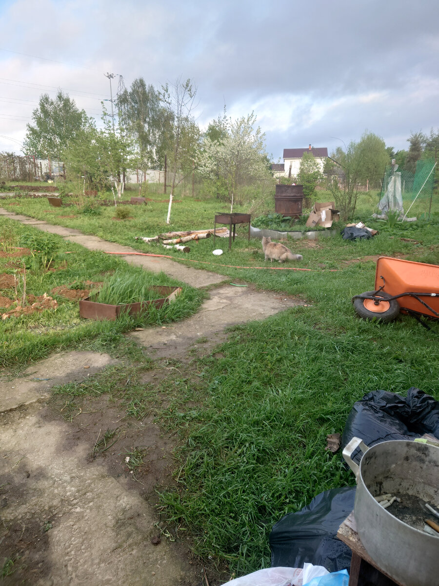 Огород как огород)