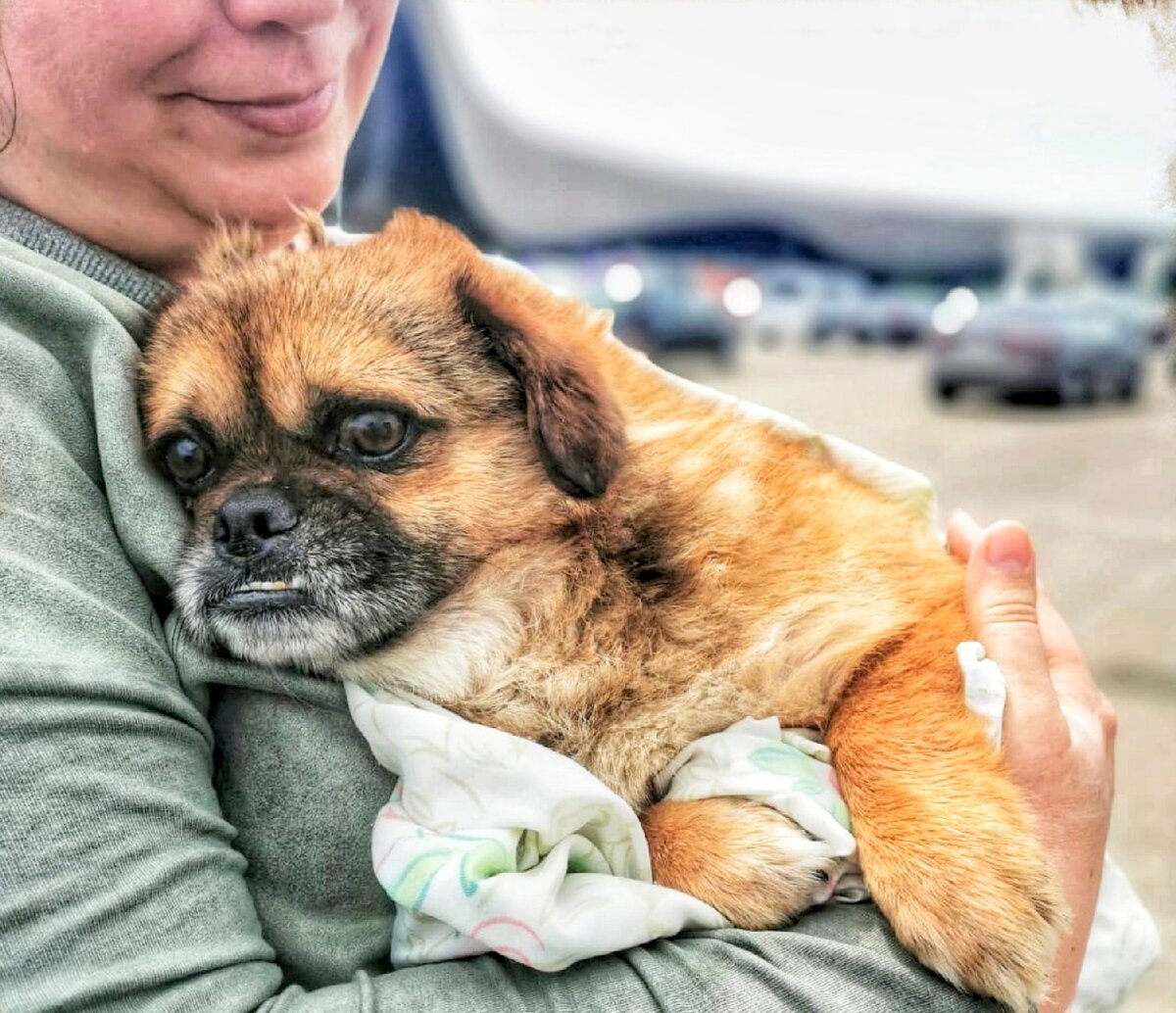 Малыш отправляется в путь из города Краснодар 