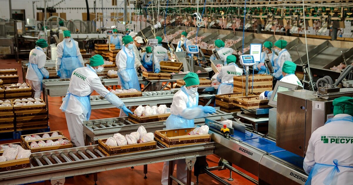 Гап ресурс ставрополь. Гап ресурс Токаревская птицефабрика. Компания группа агропредприятий ресурс. Ставропольский бройлер птицефабрика. Белгород фабрика белая птица-.