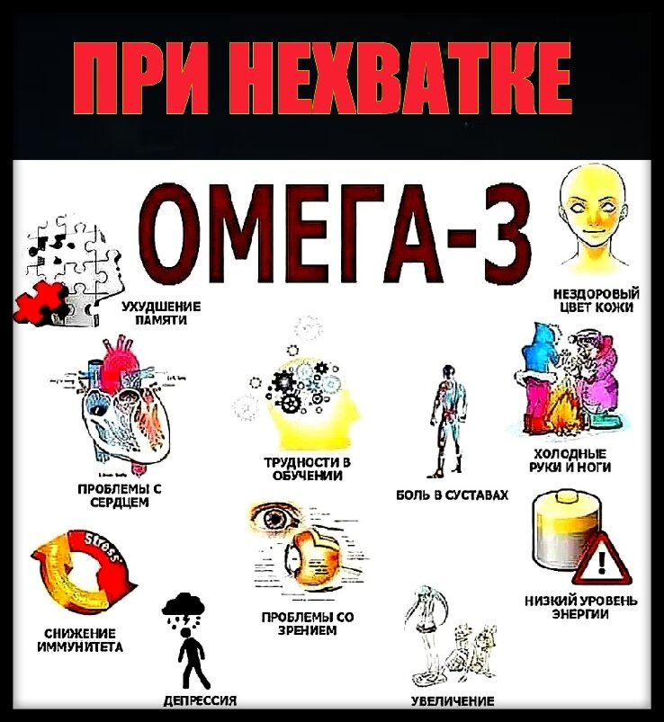 Источник: httpspixabay.com