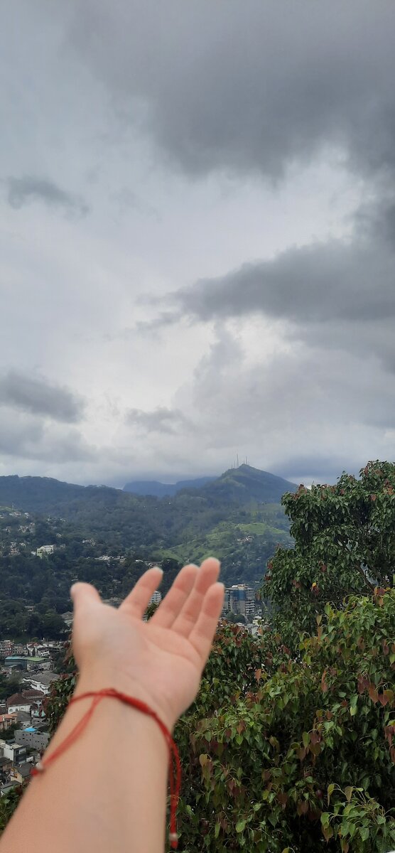 Все фото\видео мои