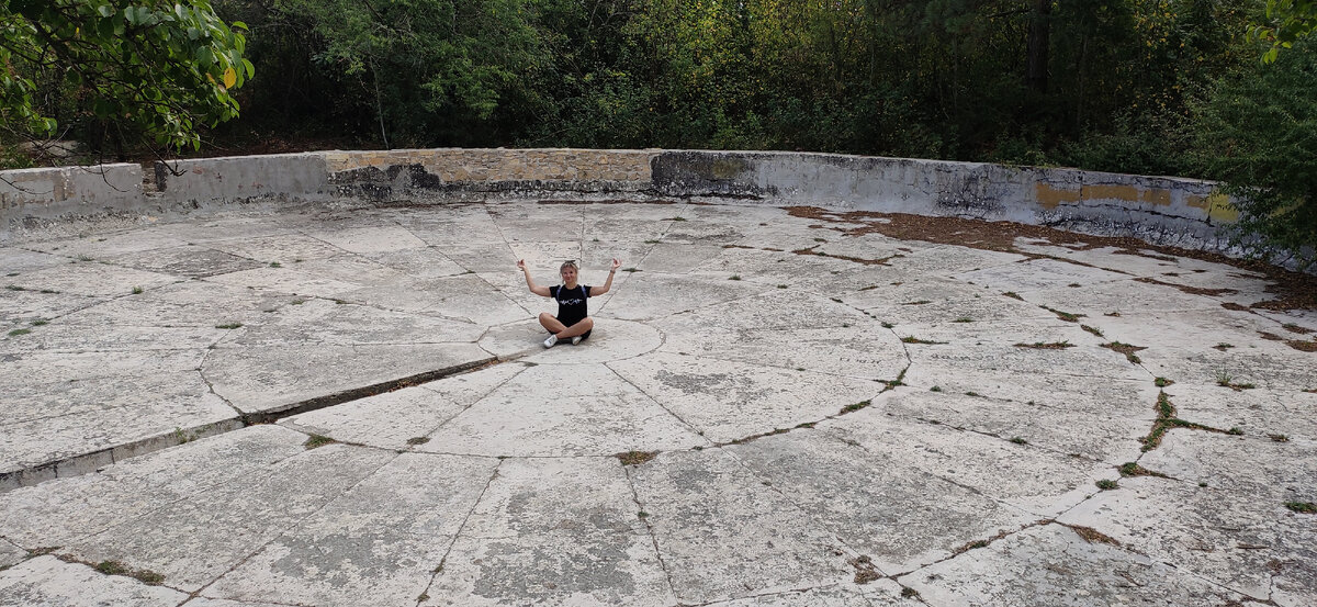 Чаша Зибольда 