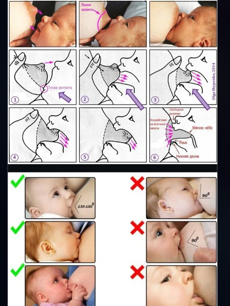 Примеры правильного прикладывания на которые я ориентировалась