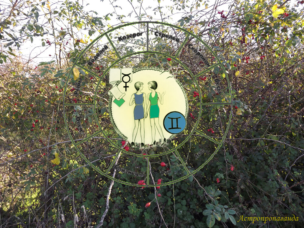 Коллаж Нины Стрелковой. 