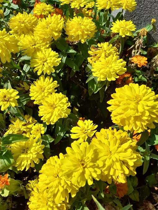 Рига, 15 августа 2022