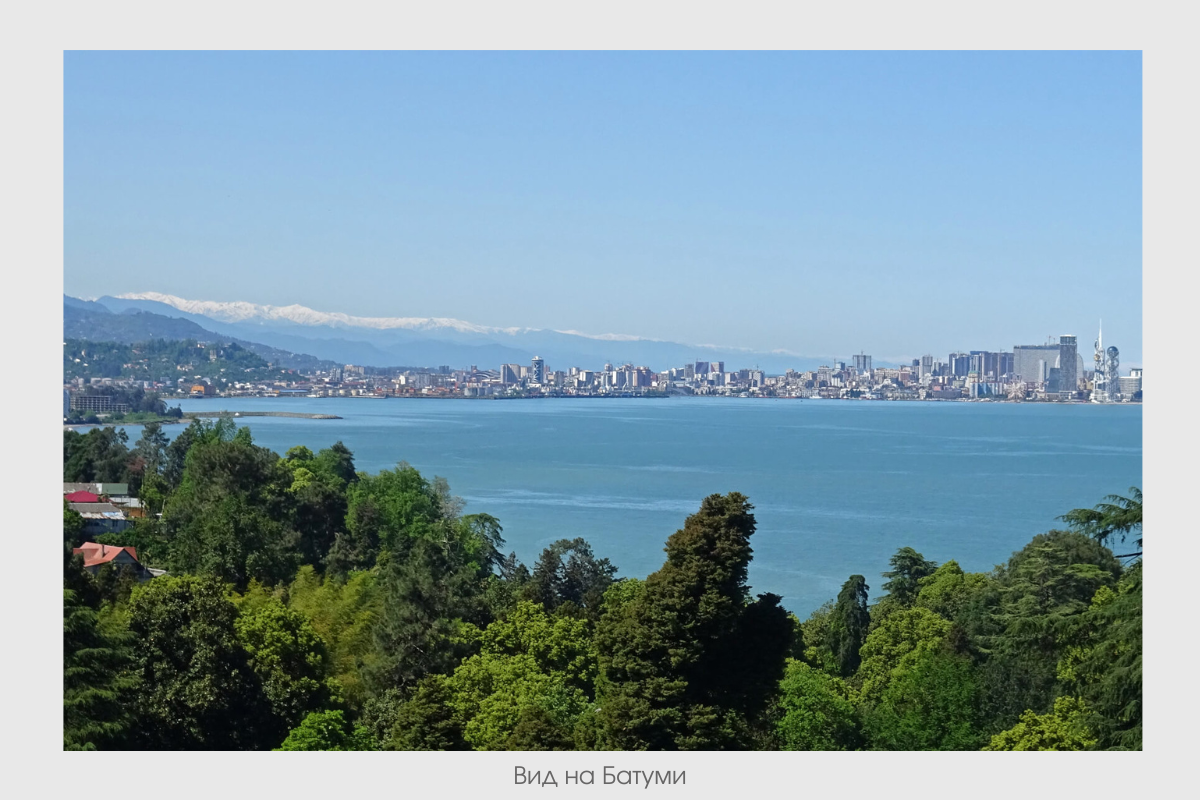 Вид на Батуми из Ботанического сада