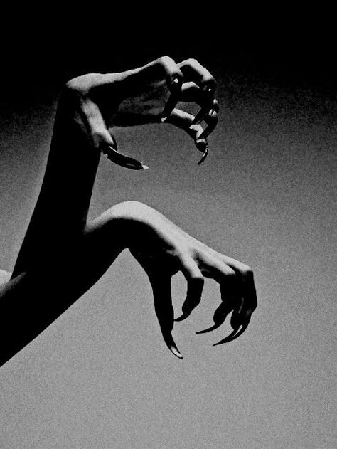 Фото из открытого источника.