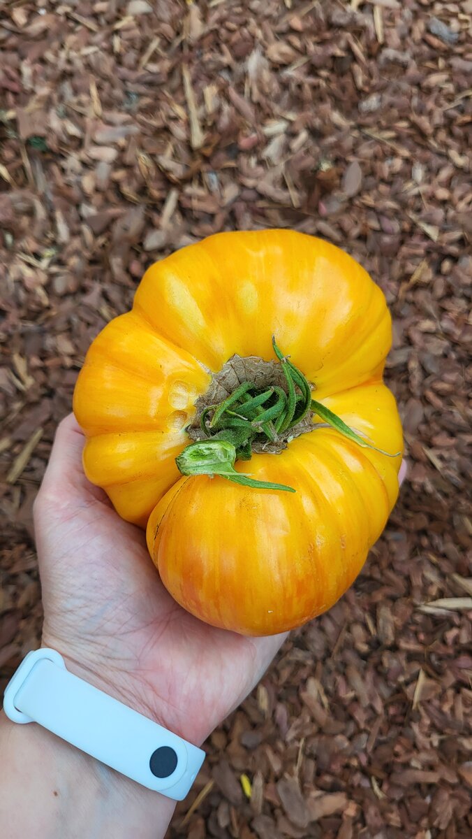 Литиевый Закат (Lithium Sunset)