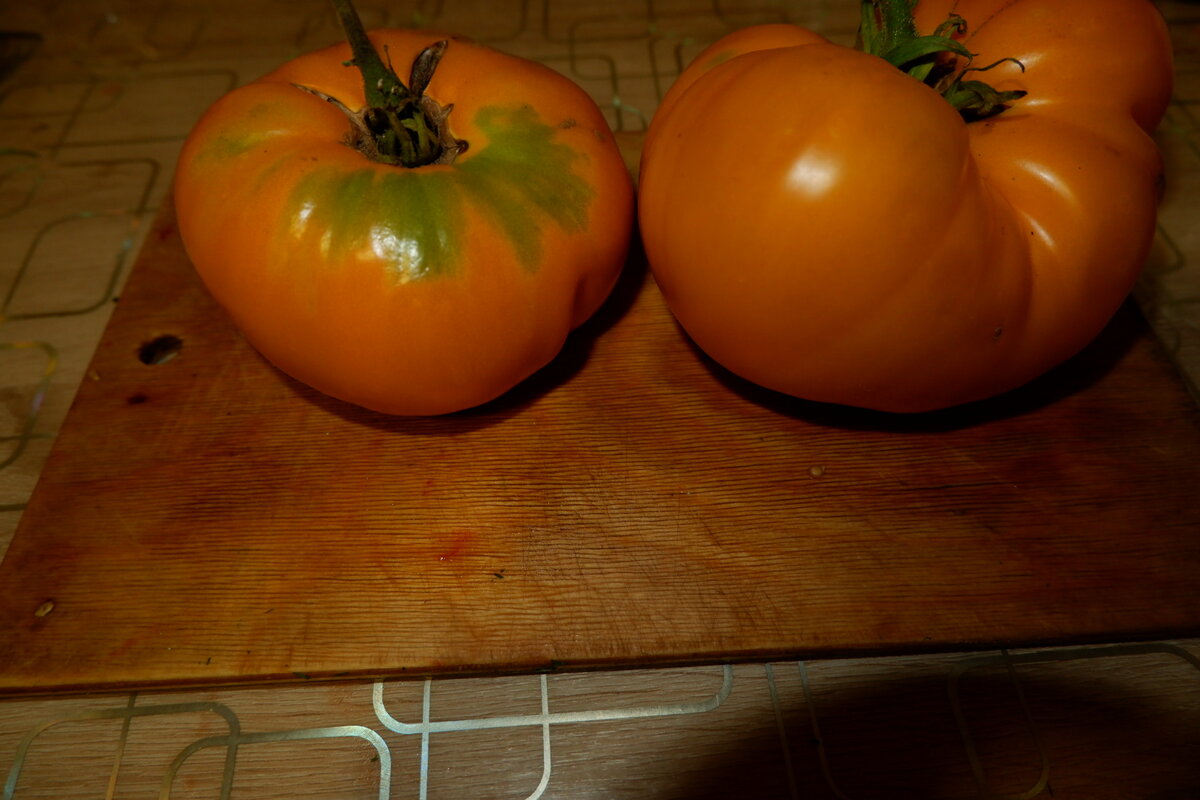 "Завтрак" && "Завтрак"