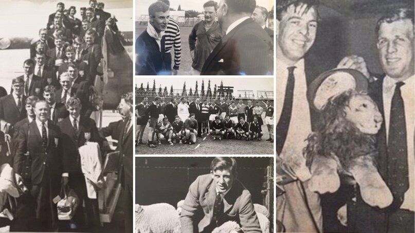 Фотоматериал взят с сайта lionsrugby.com 