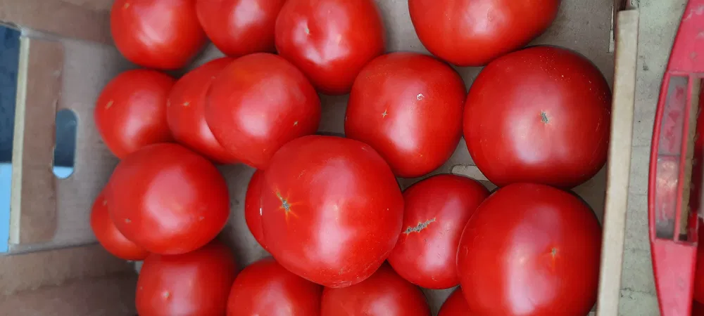 Продукты, которые нельзя употреблять летом при панкреатите. Лучше дождитесь ремиссии