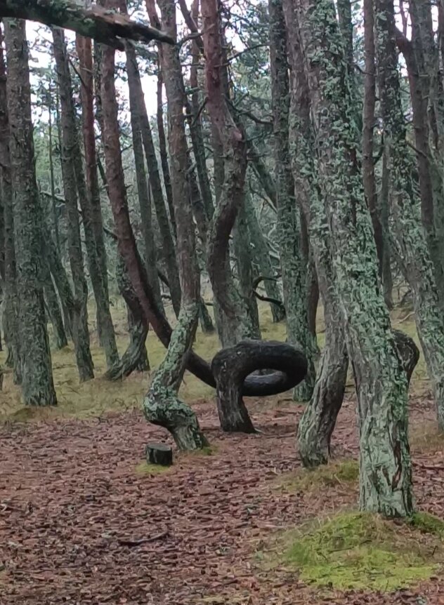 Взято из личного кабинета с целью иллюстрации