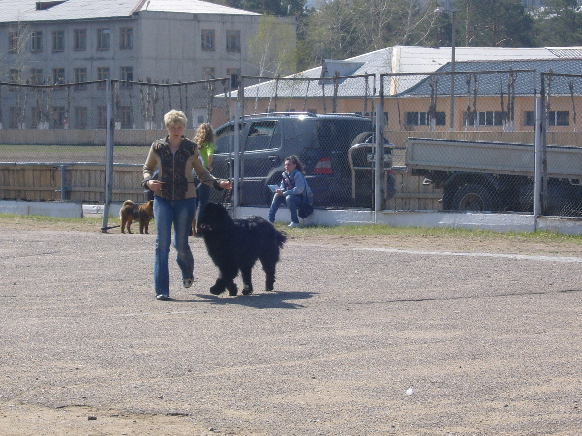 Скоро на выставку