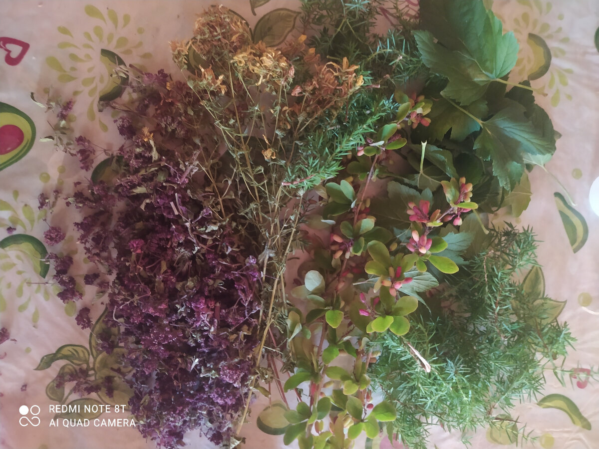 Что то совсем нам разонравился чай покупной и тем более в пакетиках. Мы решили что лучше травки пить или воду. 