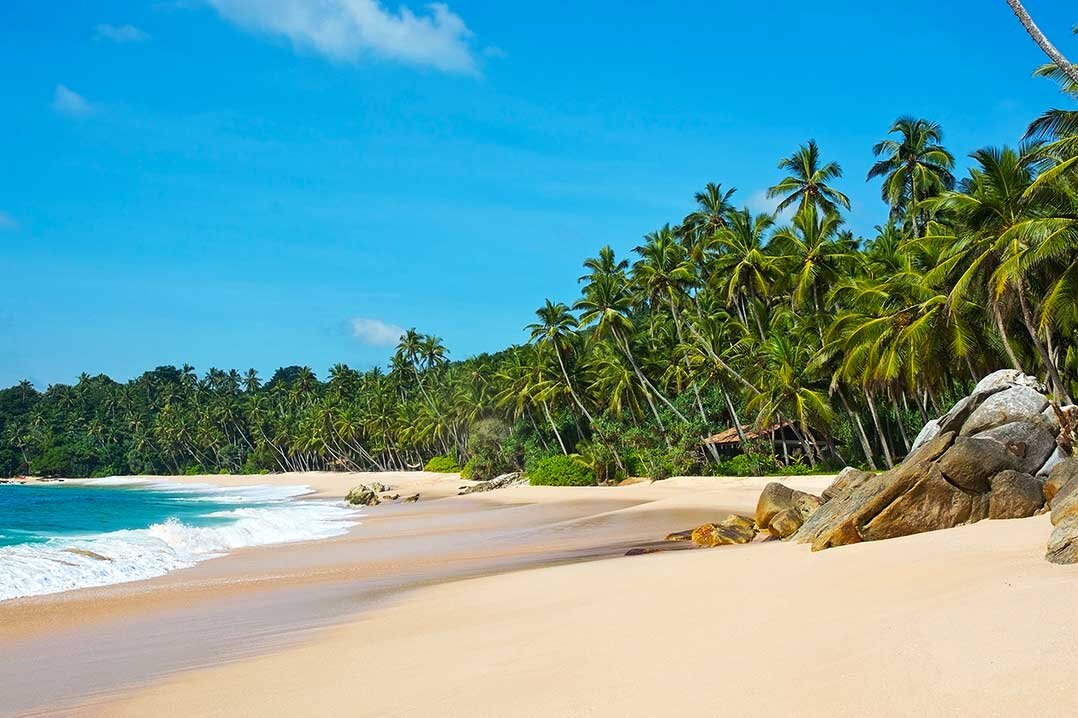 Paradise beach шри ланка. Шри Ланка сезон.