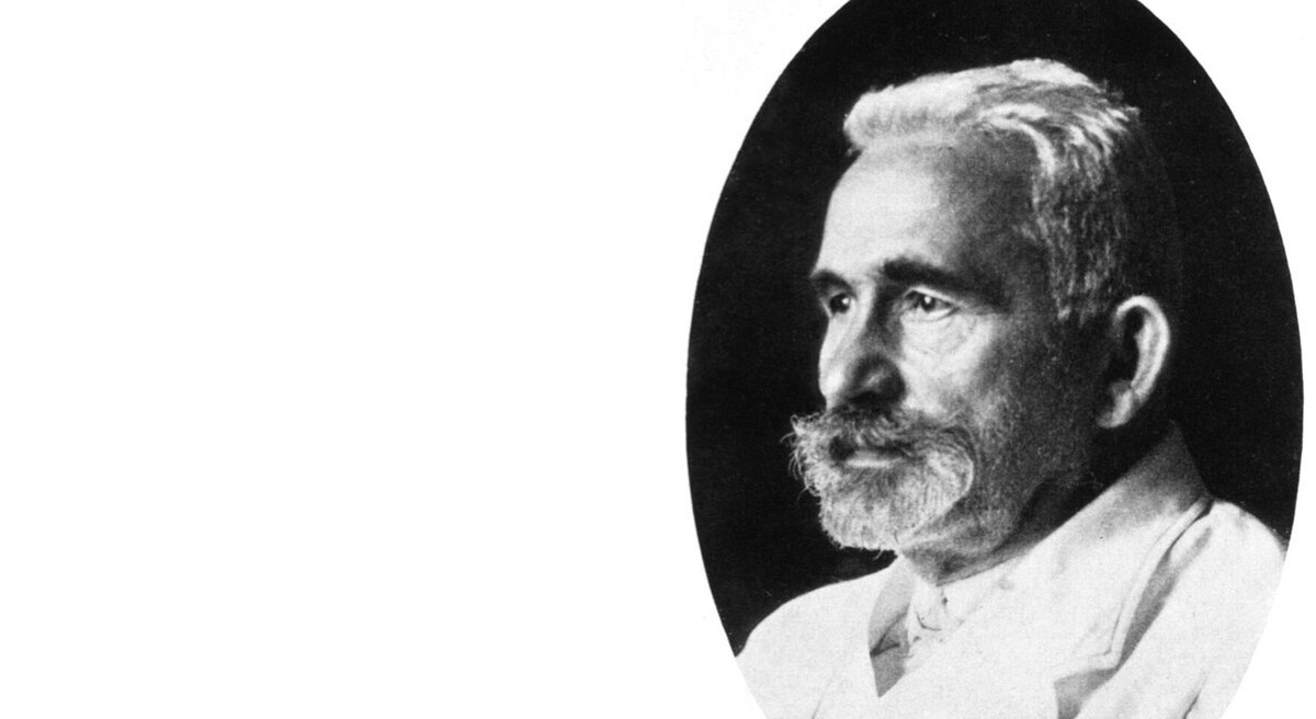 Термин «олигофрения» был предложен и впервые использован Э. Крепелиным (1856–1926), однако в современной медицинской литературе обычно используют понятие «умственная отсталость».