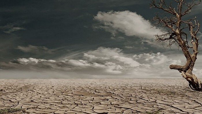   Обратить внимание: опустынивание.   Многие из пустынь мира растут в размерах с каждым годом. Например, пустыня Сахара с 1900 года расширилась на юг на 250 км, а ее территория увеличилась почти на 6000 квадратных километров.  