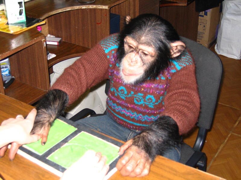 Источник: вселенная интернета