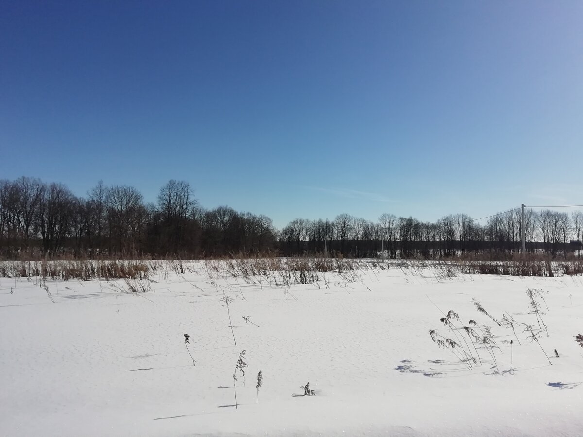 Вид зимой (участок слева)