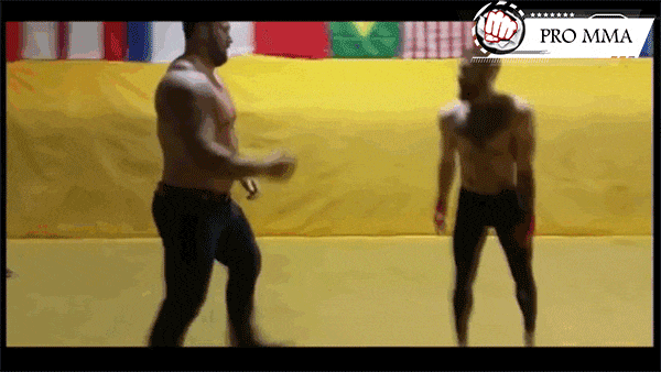 Конор Макгрегор и Хафтор Бьёрнссон