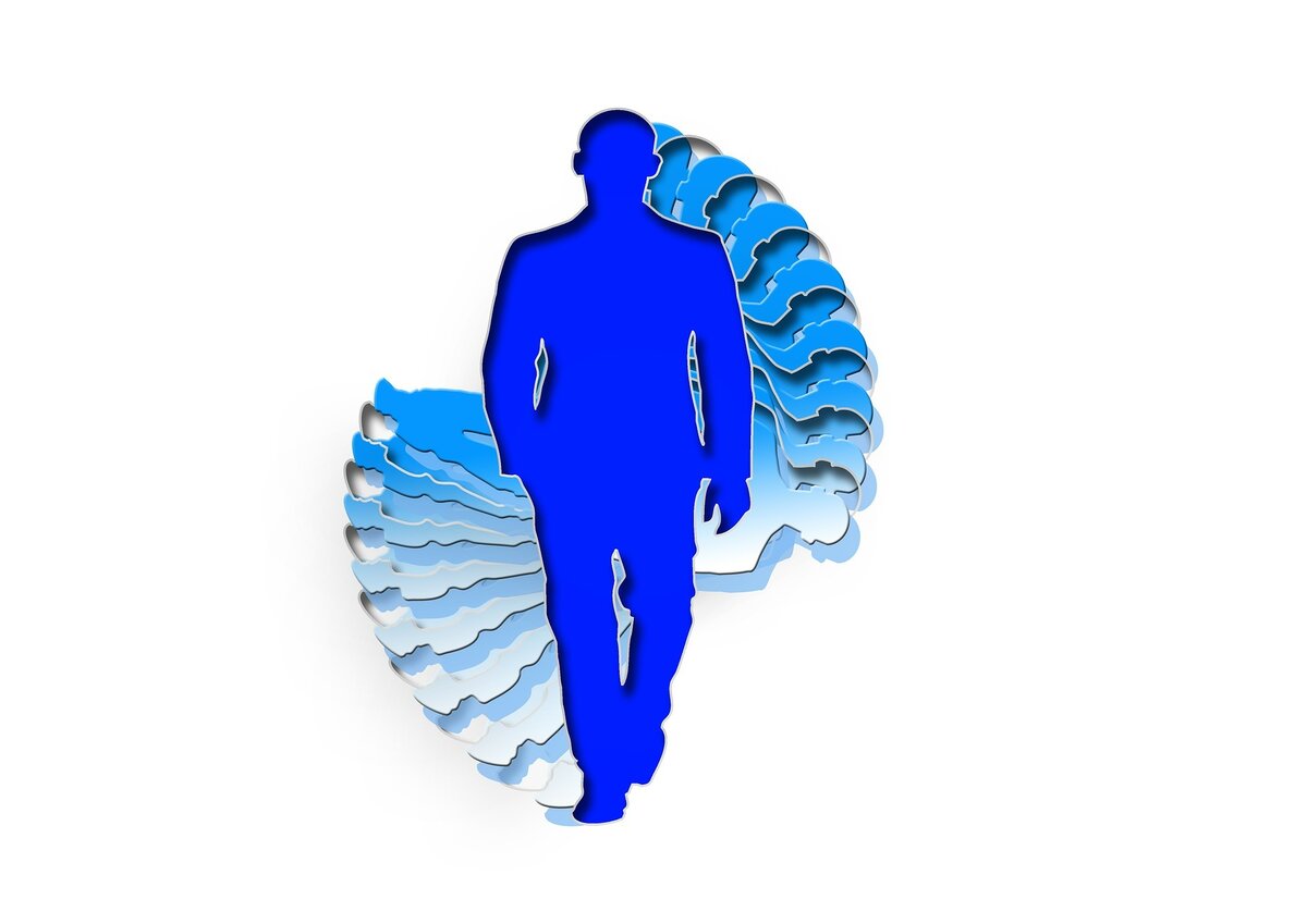 www.pixabay.com