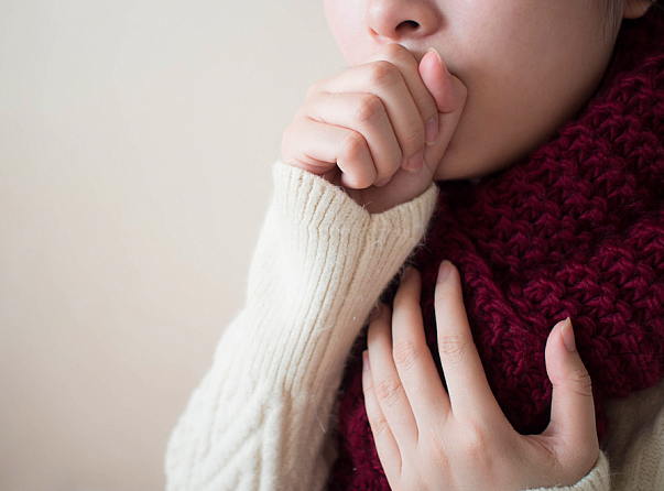 Фото: Shutterstock.com