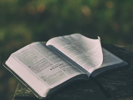 https://pixabay.com/ru/photos/%D0%B1%D0%B8%D0%B1%D0%BB%D0%B8%D1%8F-%D0%BF%D1%8F%D1%82%D0%BD%D0%BE-%D0%BA%D0%BD%D0%B8%D0%B3%D0%B8-%D0%B3%D0%BB%D0%B0%D0%B2%D0%B0-1846174/