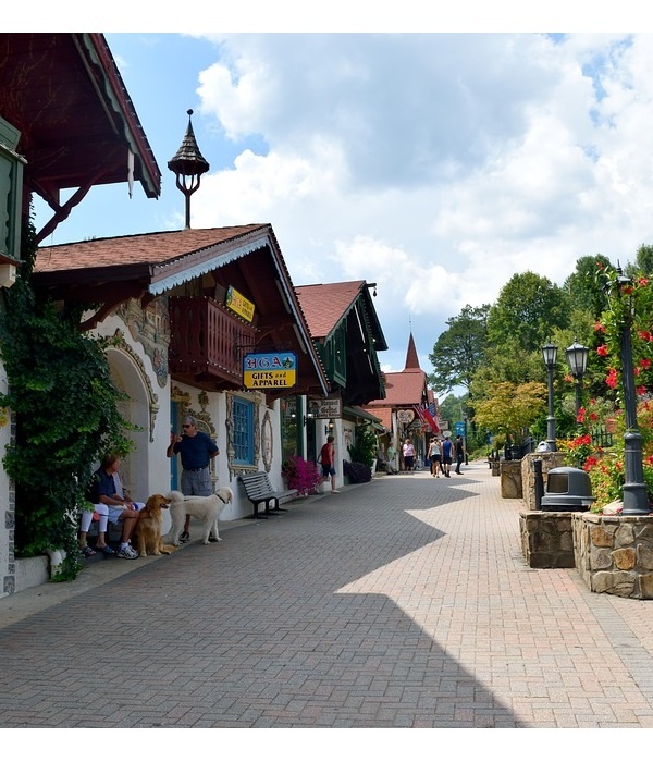 https://pixabay.com/photos/helen-georgia-alpine-village-2683674/