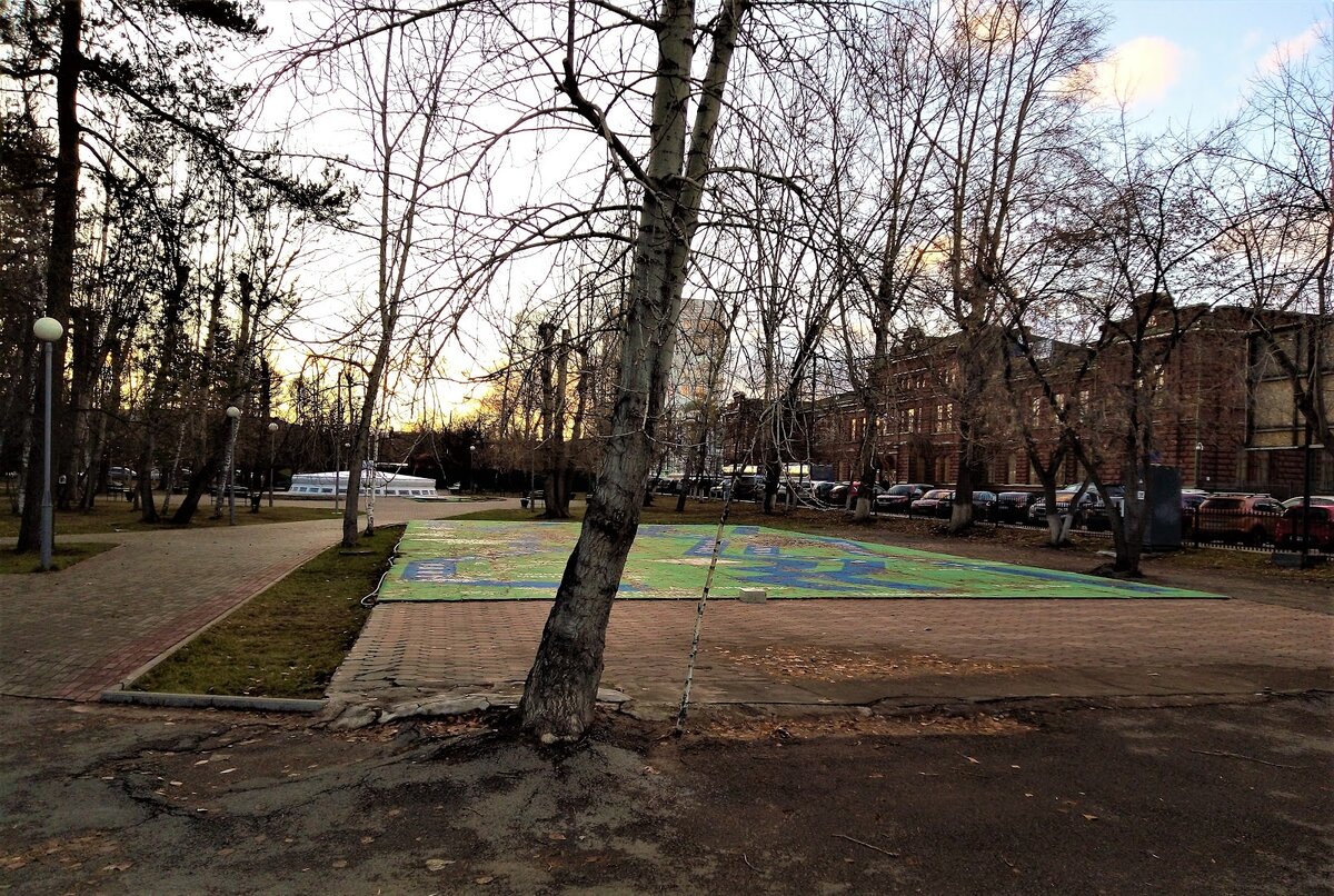 Клен в Городском саду. Фото автора.