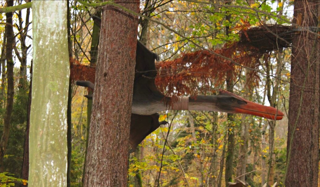 Птерадактиль, Парк Янтарного периода, пос. Отрадное Калининградская область
