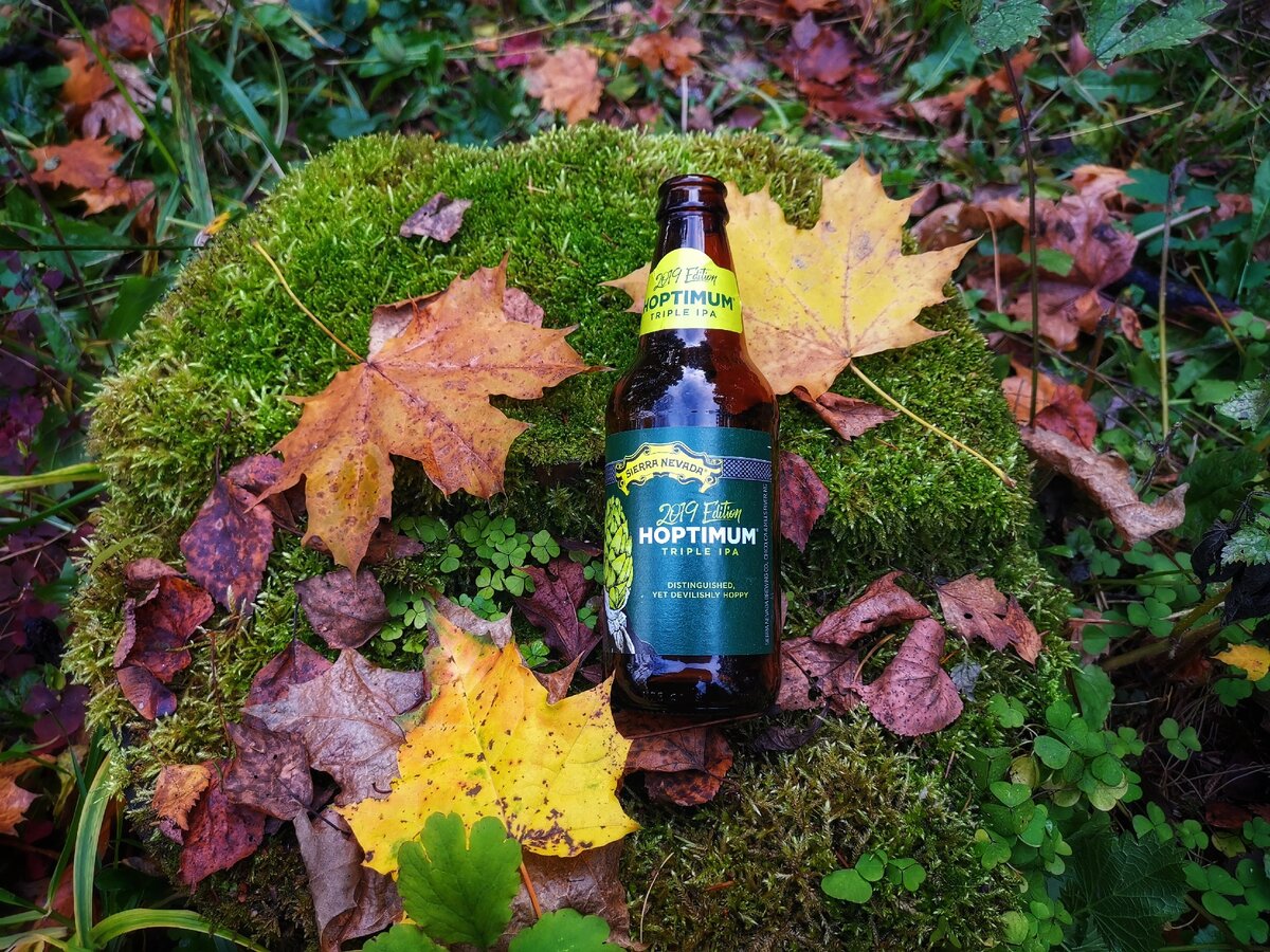 Hoptimum 2019 от Sierra Nevada