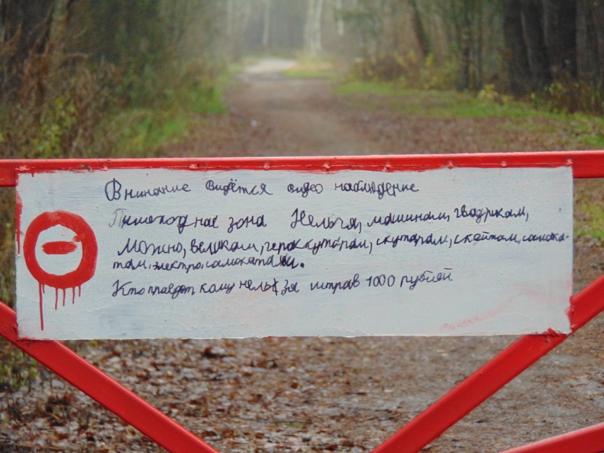 Надеюсь, этот почерк принадлежит школьнику. Фото из личного архива.