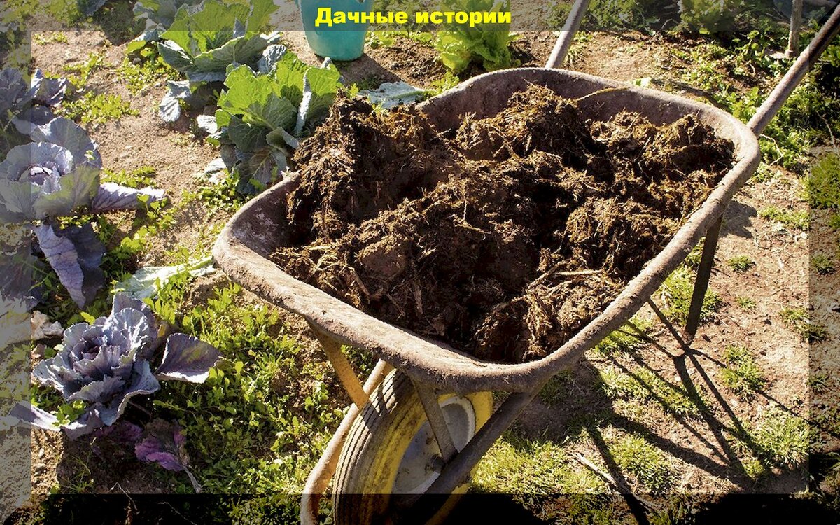 https://vk.com/photo-159774511_457243334