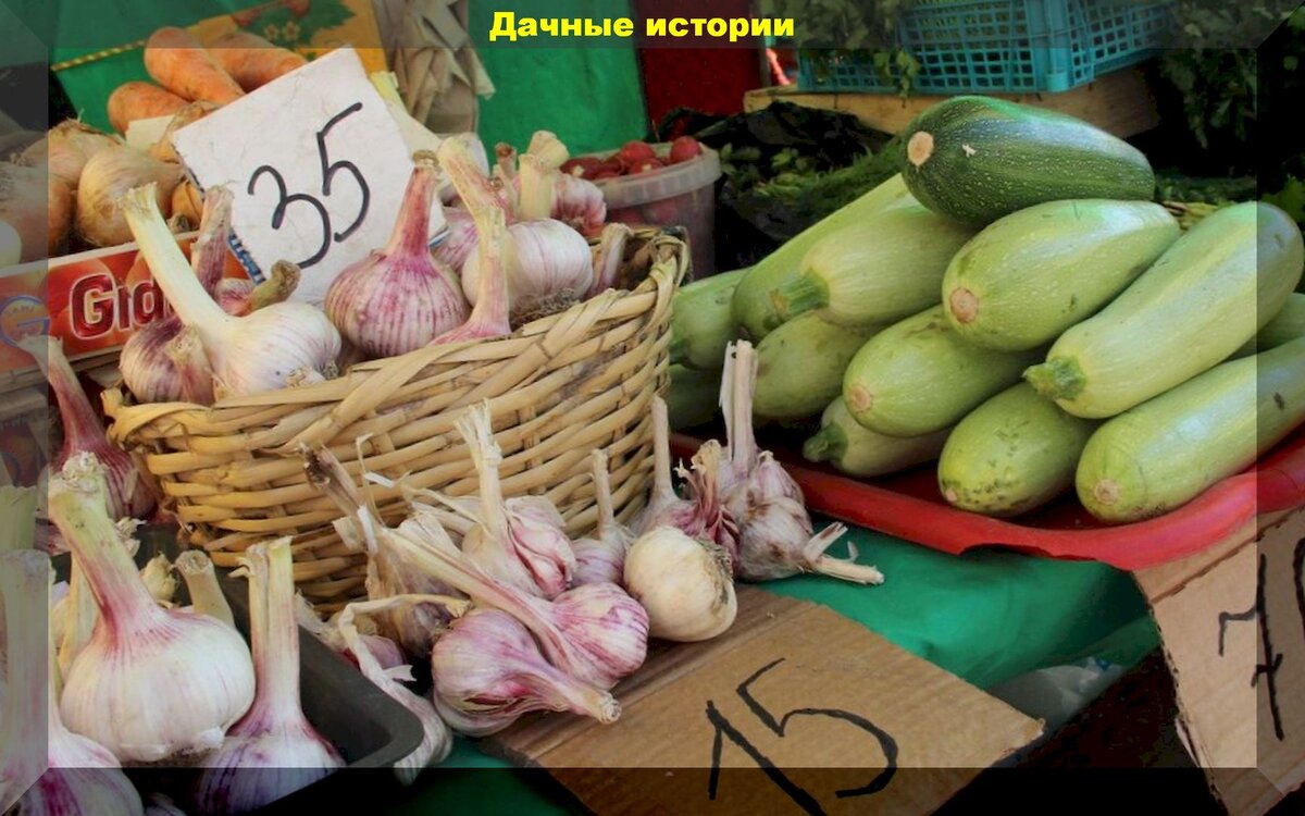 https://vk.com/photo-159774511_457243093