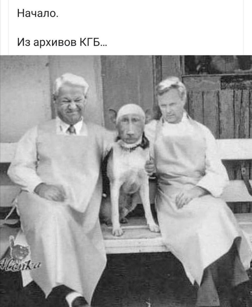 Взято из открытых источников