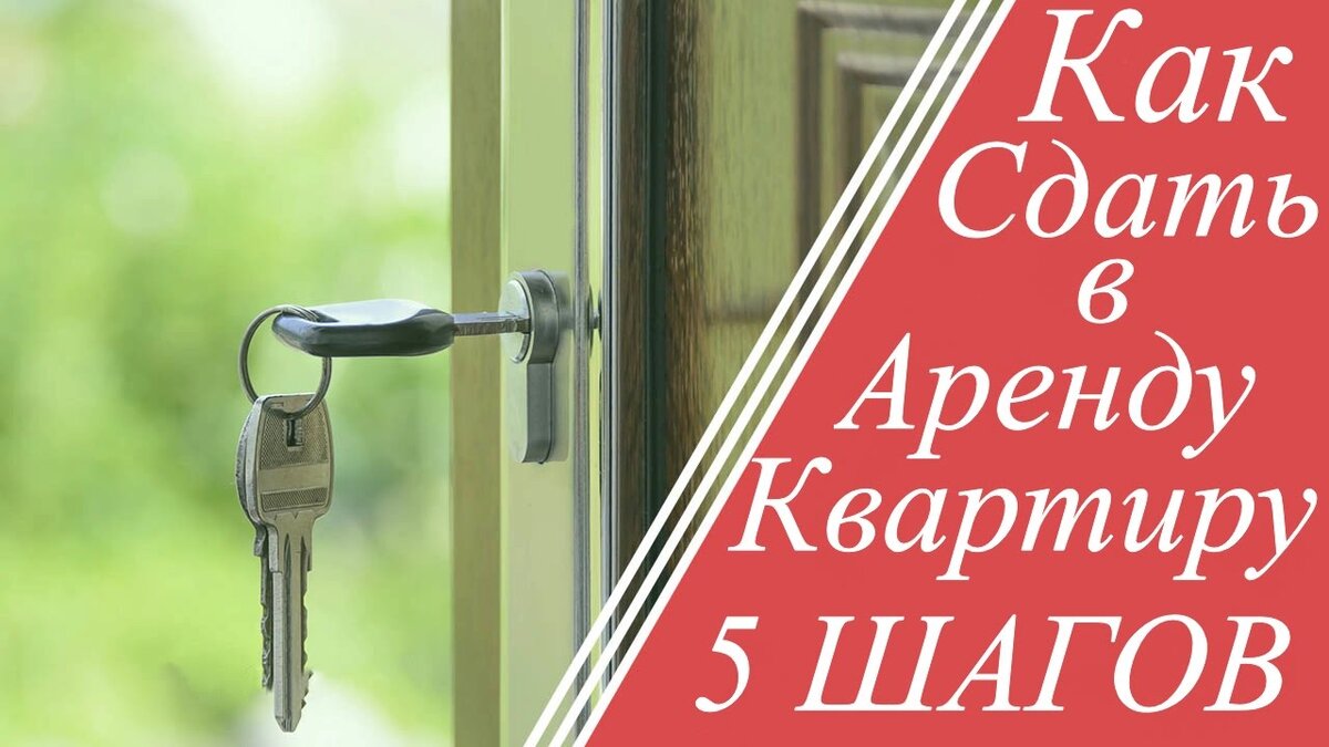 Как сдать квартиру в аренду правильно самостоятельно. Как сдать квартиру в аренду правильно самостоятельно