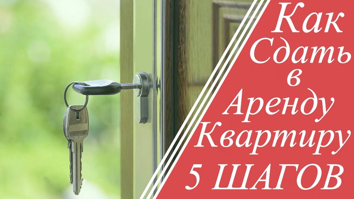 Как сдать квартиру в аренду правильно самостоятельно