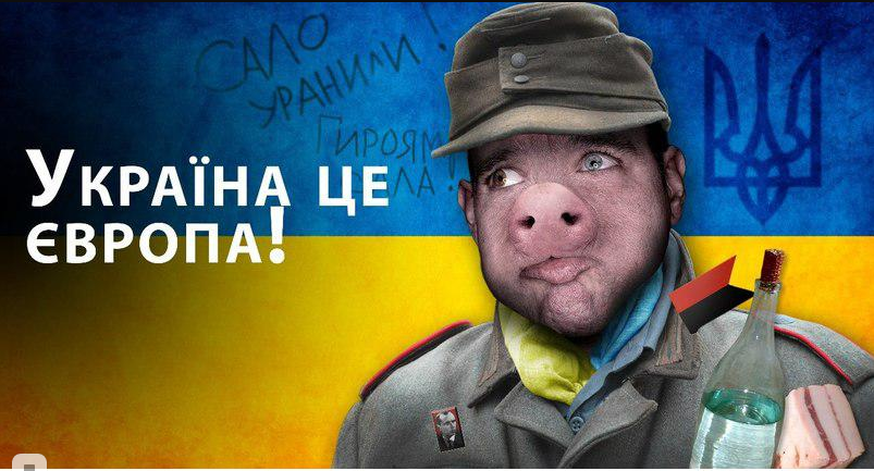 Европейцы сами в шоке от новых братьев.