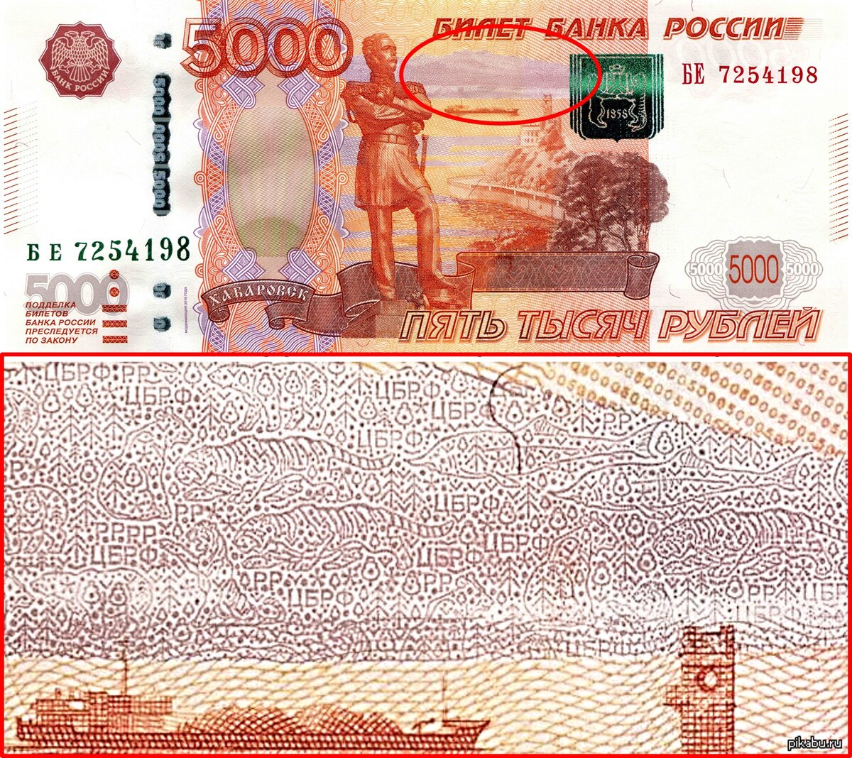 На фотографии можно разглядеть тигров, медведей и несколько рыб (семейства осетровых). А также маленькие изображения деревьев и надпись ЦБРФ.