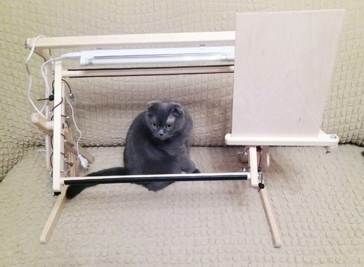 фото из личного архива