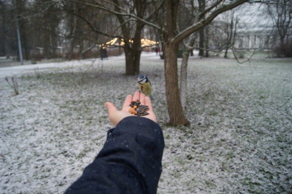 Фото: пресс-служба Смольного