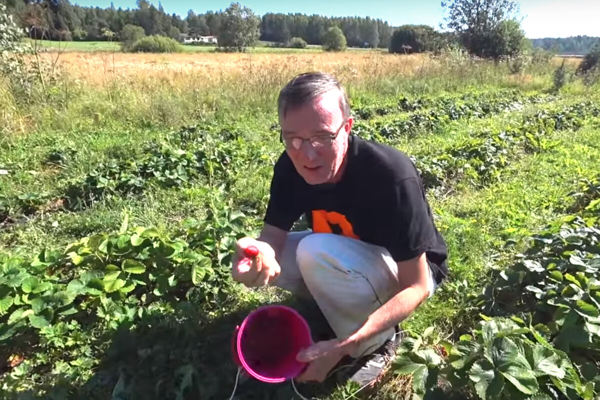 Я на клубничном поле