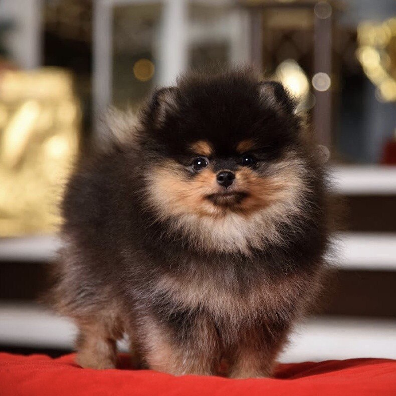 Фото из личного архива