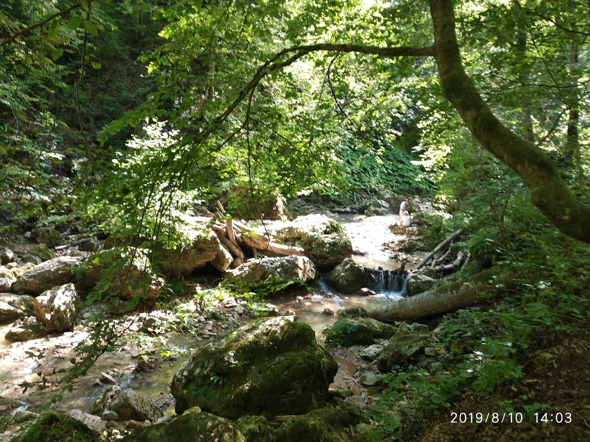у истоков водопадов Руфабго (фото автора)